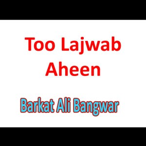 Barkat Ali Bangwar