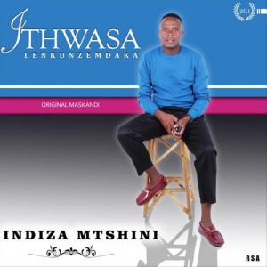 Ithwasa Lenkunzemdaka