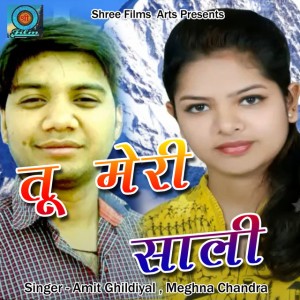 Amit Ghildiyal