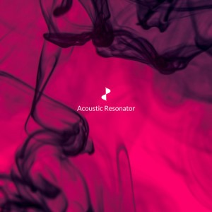 Acoustic Resonator