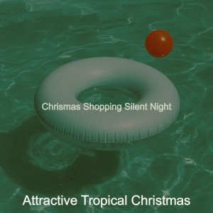 Attractive Tropical Christmas