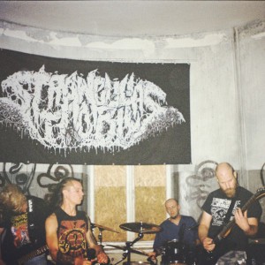 Stranguliatorius