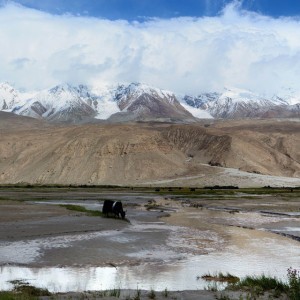 Chuanbold