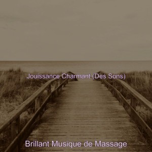 Brillant Musique de Massage
