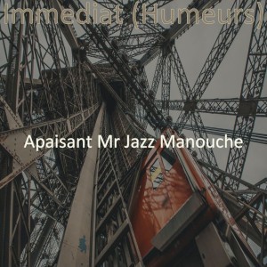 Apaisant Mr Jazz Manouche