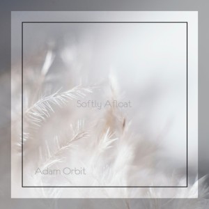 Adam Orbit