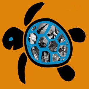 Jazz Turtle
