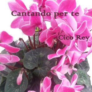 Cico Rey
