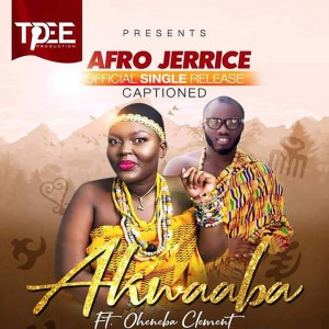 Afro Jerrice