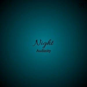 Audinity