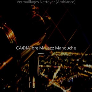 Célèbre Mr Jazz Manouche