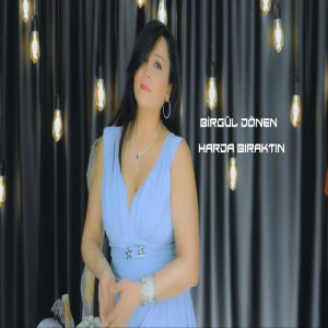 Birgül Dönen