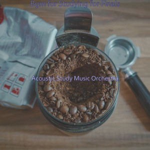 Acoustic Study Music Orchestra