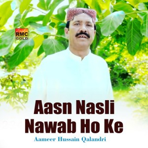 Aameer Hussain Qalandri