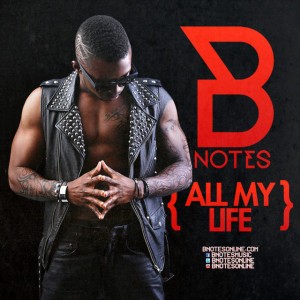 B. Notes