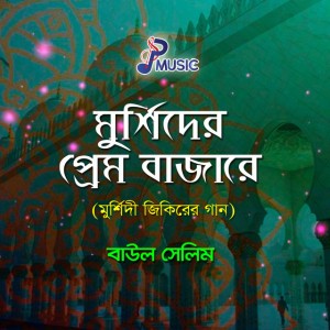 Baul Salim