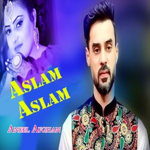 Aneel Afghan