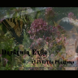 Darktwin Exile