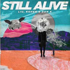 Dan K