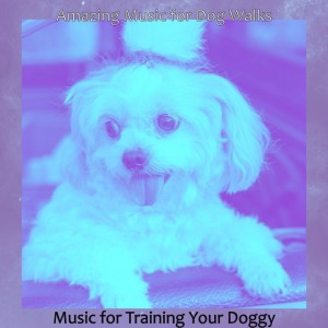 Amazing Music for Dog Walks