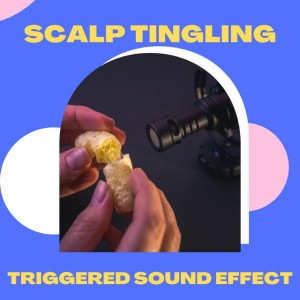 ASMR Meaning