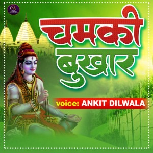 Ankit Dilwala