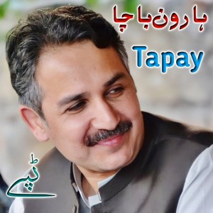 Haroon Bacha