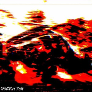 $NIPERMANE