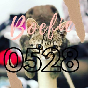 Boefie7902