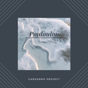 Cardanno project