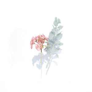 Artemise