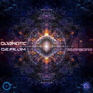 Dubnotic