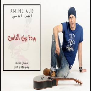 Amine Aub