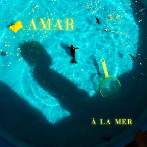 Amar