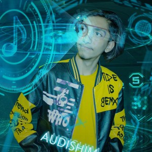 Audishim