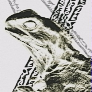 Analog-Tuatara™