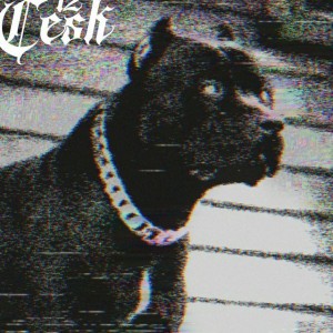 Cesk12