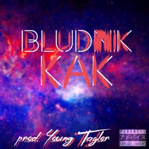 Bludnik