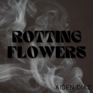 Aiden Diaz