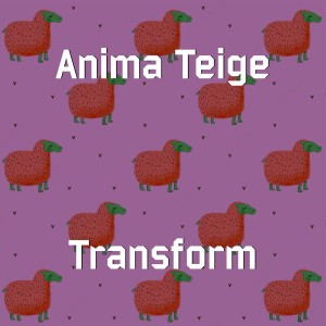 Anima Teige