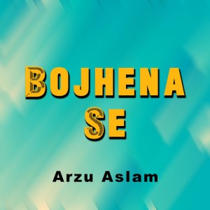 Arzu Aslam