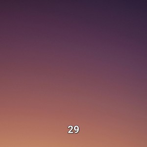 29 $IDE