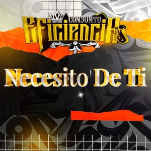 Conjunto Eficiencia