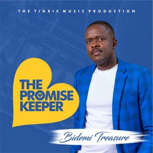 Bidemi Treasure