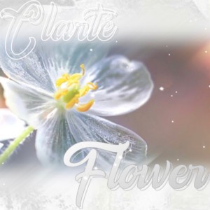 Clarte
