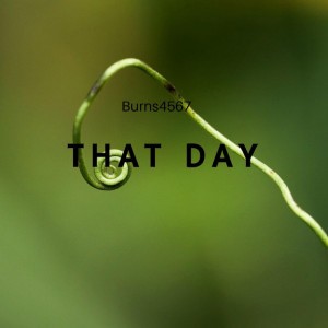 Burns4567