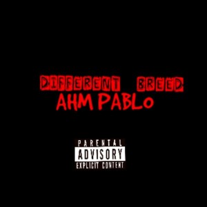 AHM Pablo