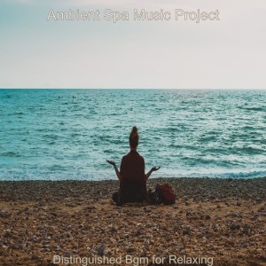 Ambient Spa Music Project