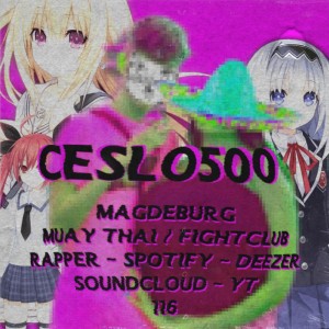Ceslo500