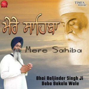 Bhai Baljinder Singh Ji Baba Bakala Wale